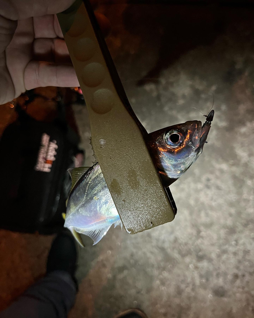 いつもの場所で♪