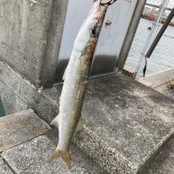 念願の鱒レンデビュー