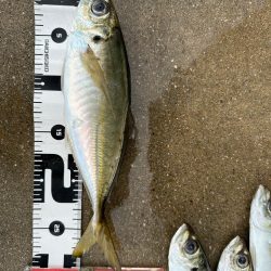 ボートアジング