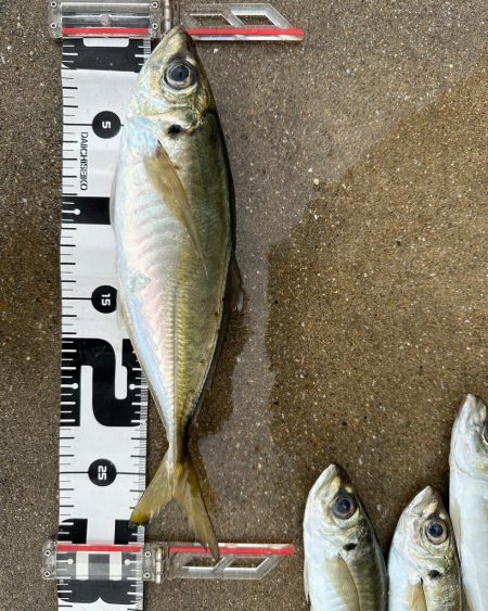 ボートアジング