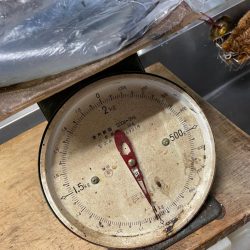 今季２杯目キロアップ