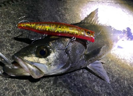 サイズでなーい