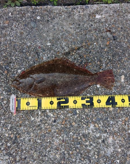 続・フラット狙いで