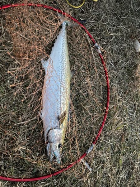 ２転び３起きトレーニング