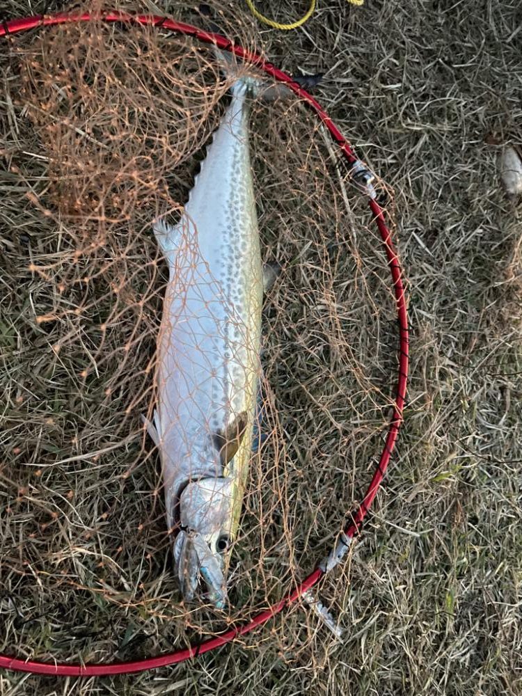 ２転び３起きトレーニング