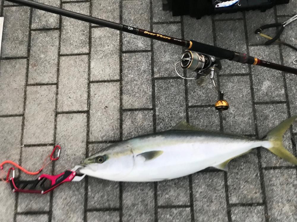 メジロゲッチュ〜!