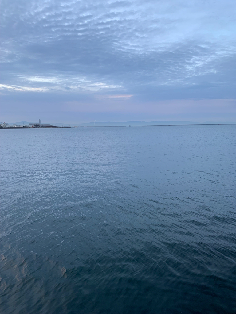 朝マヅメサゴシ