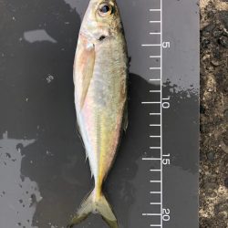 尺まで寸足らず…