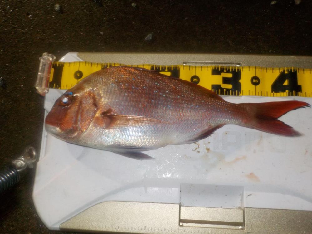 5度目の正直〜完全フカセ最高‼︎