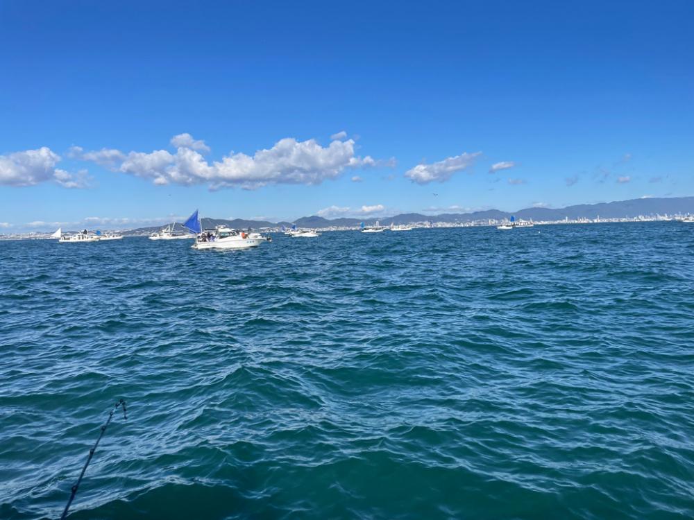 明石海峡　タチウオ好調