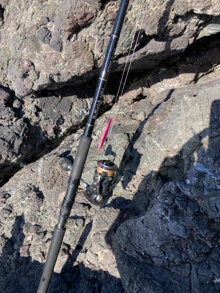 青物ってこんなに引くんだなぁ