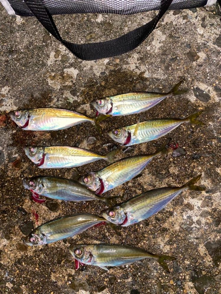 フロートアジングオモロイ