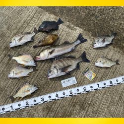 潮位が低く、透き通り厳しい状況からスタート