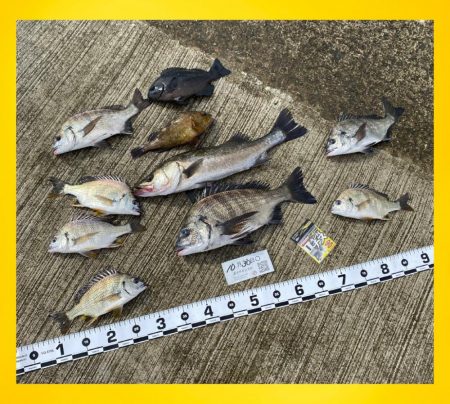 潮位が低く、透き通り厳しい状況からスタート