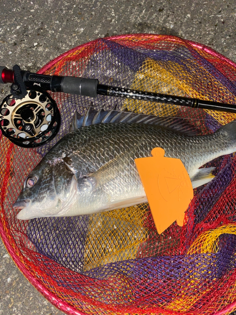 ヘチってきました