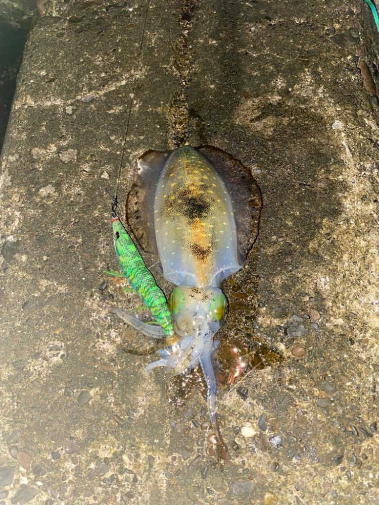 寒くなるまえに