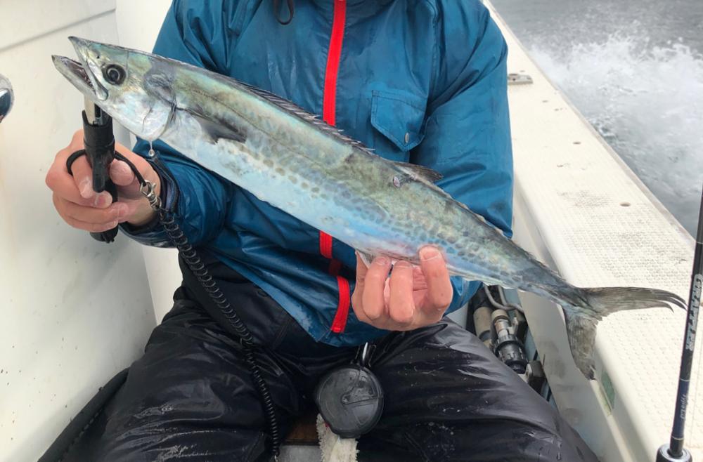 ジギングで三目達成！