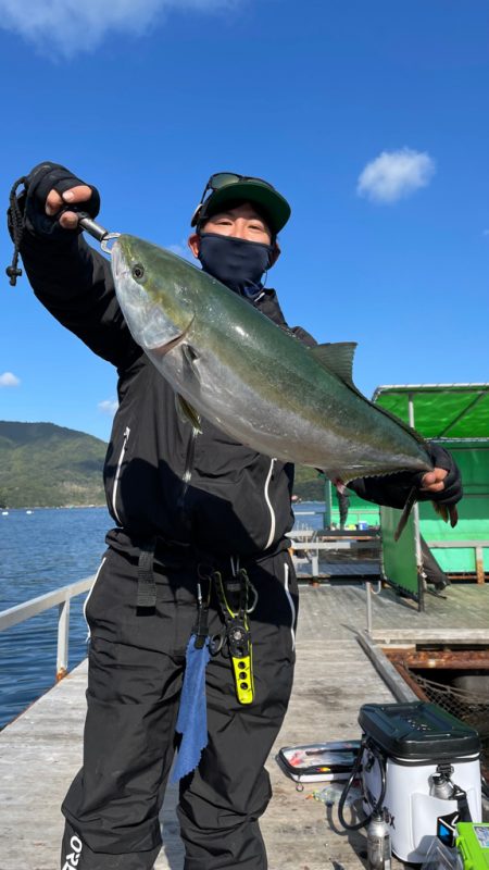 シラサでヒラマサにワラサ