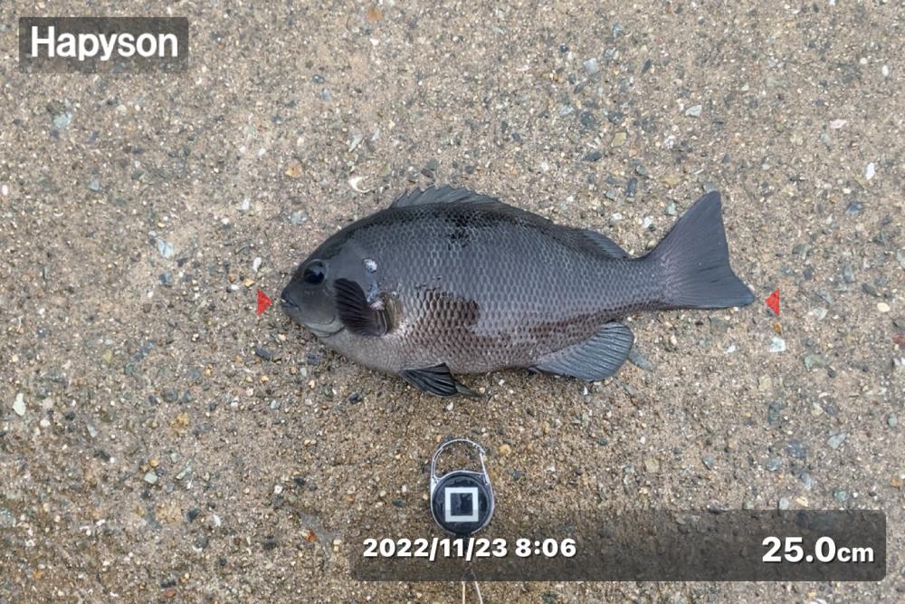 良い型を目指して