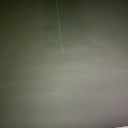 サイズが良くなってきた☆