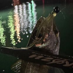 ボートアジング