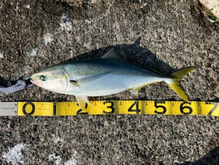 エサ確保困難お