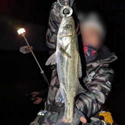 ボートシーバス