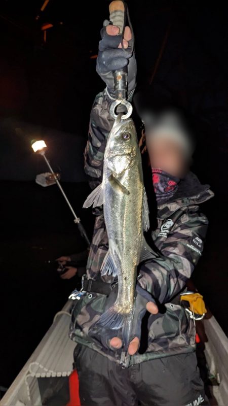 ボートシーバス