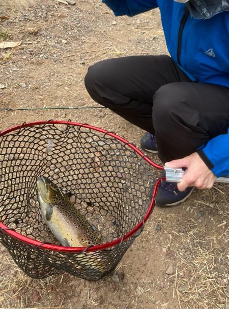 コーホーサーモン爆釣！