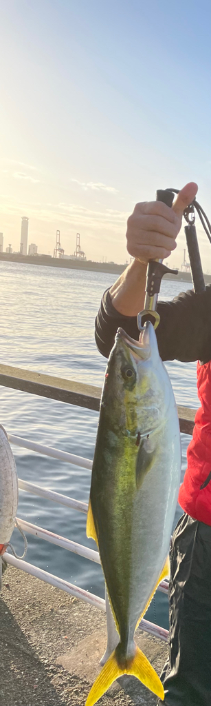 小ぶりですが青物っ❗️