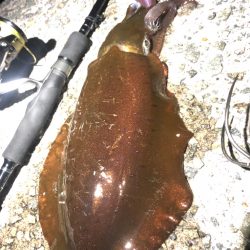 激渋の中の一杯