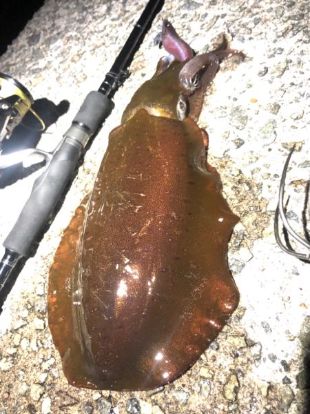 激渋の中の一杯