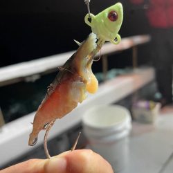 太刀魚テンヤ⋆*🐉