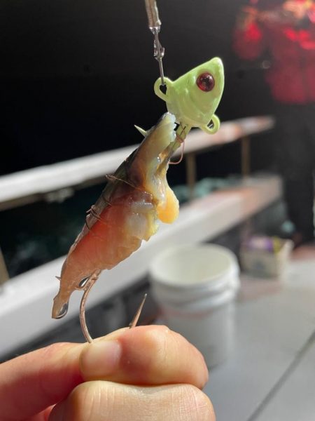 太刀魚テンヤ⋆*🐉