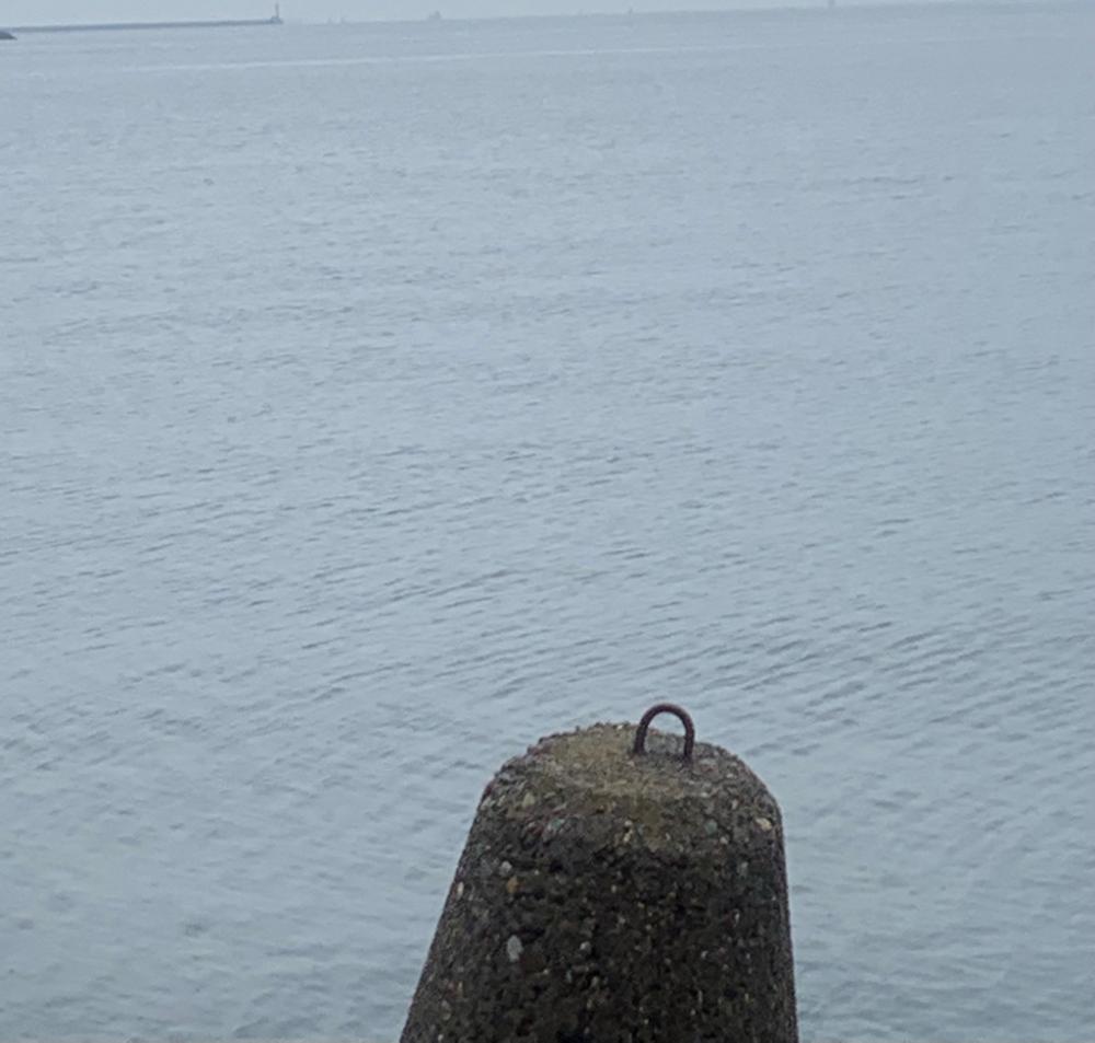 雨の中、出撃でメジロ！