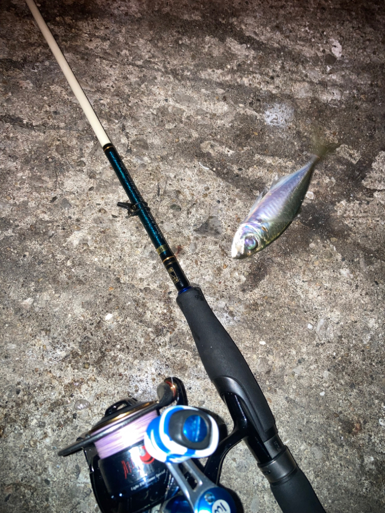 エギング不発後アジング