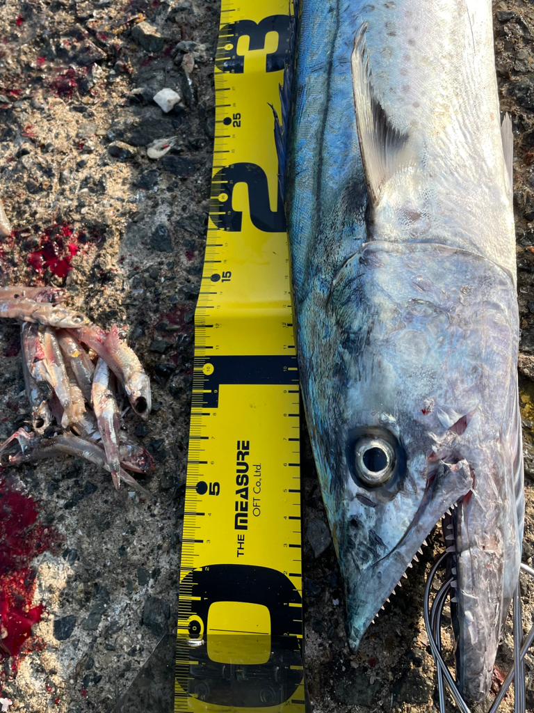 自己新記録‼️ 、、ならず。