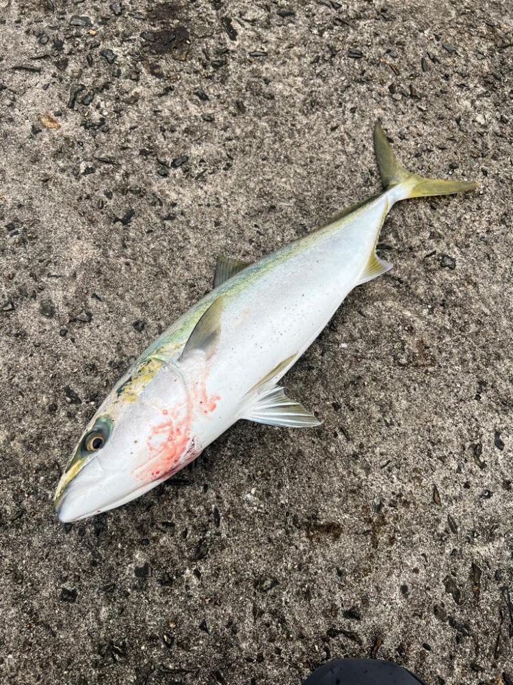 アタリ日の失敗