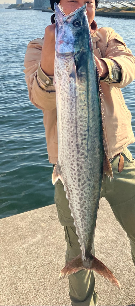 ショアビッグサワラ