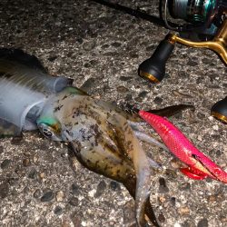 選ばれしカラーはマジシャンズレッド！