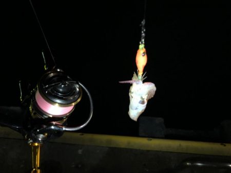 渋いけどいる！