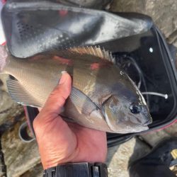 GFG大分・宮崎県支部合同懇親釣り大会