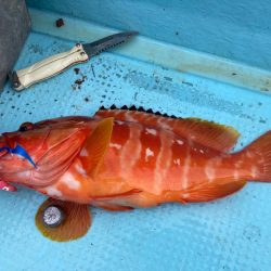 タイラバ五目でアカハタ