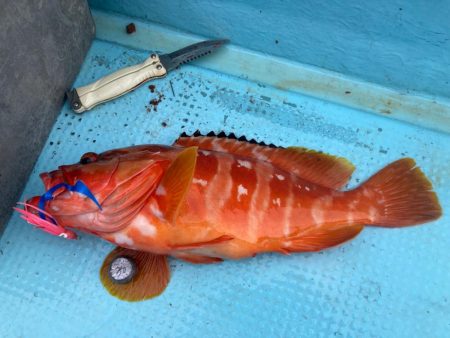 タイラバ五目でアカハタ