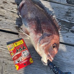 家島の釣り堀海恵