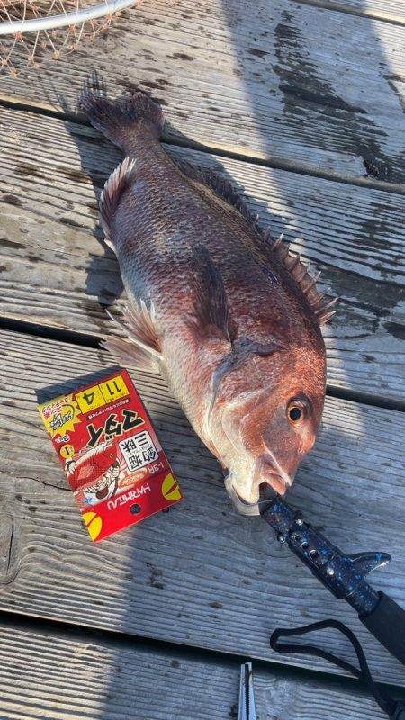 家島の釣り堀海恵