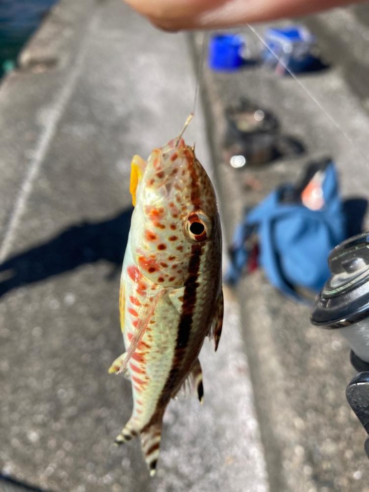 昼からのんびり