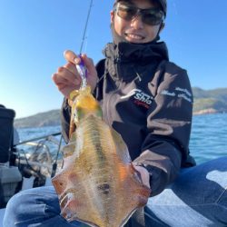 ティップランエギング好調！