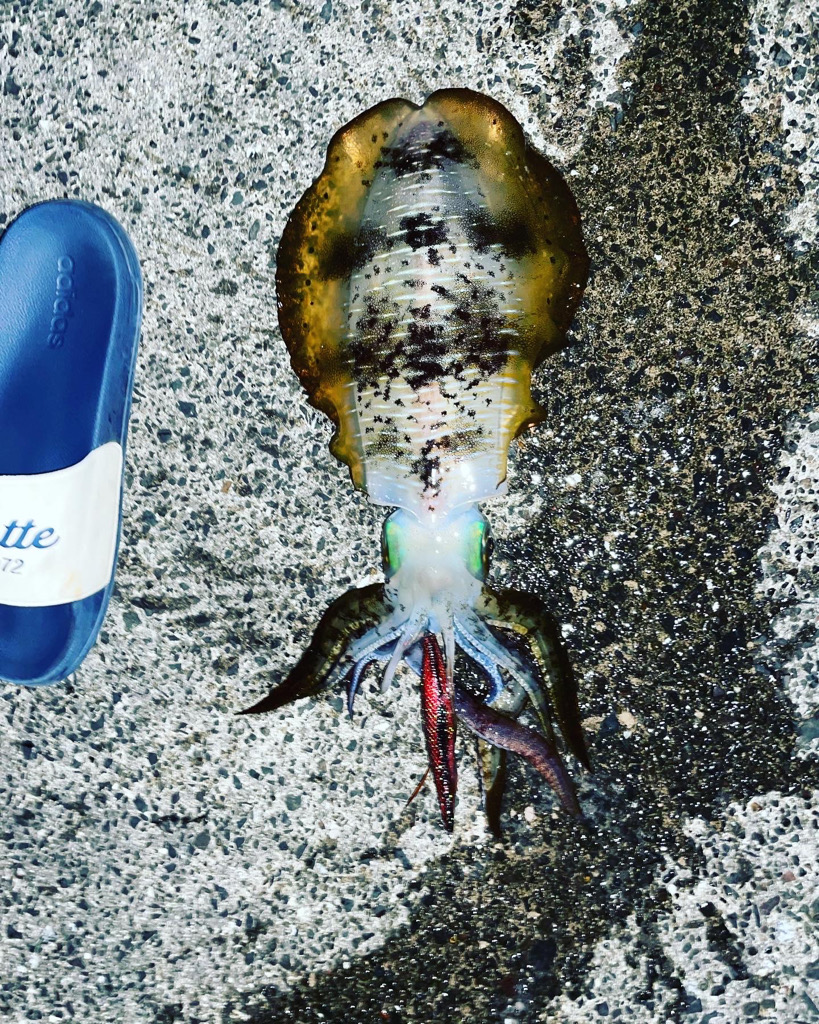 キロオーバーなかなかしない