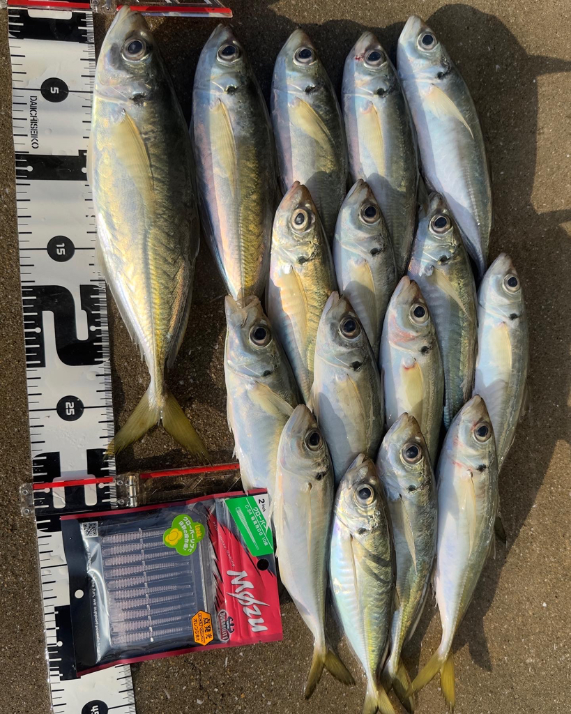 マズメチャレンジ